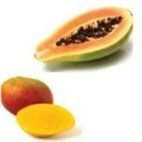 Mango Papaya - Whipped Shea Butter